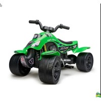 ATV verde Bud Racing Falk ATV verde Bud Racing Falk