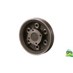 Fulie Arbore Motor FIAT 4668646