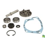 Kit Reparatie Pompa de Apa OMP252.175
